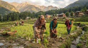 Rural women working and preparing traditional Himchali products 