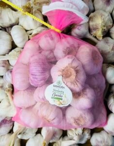 FARM FRESH GARLIC