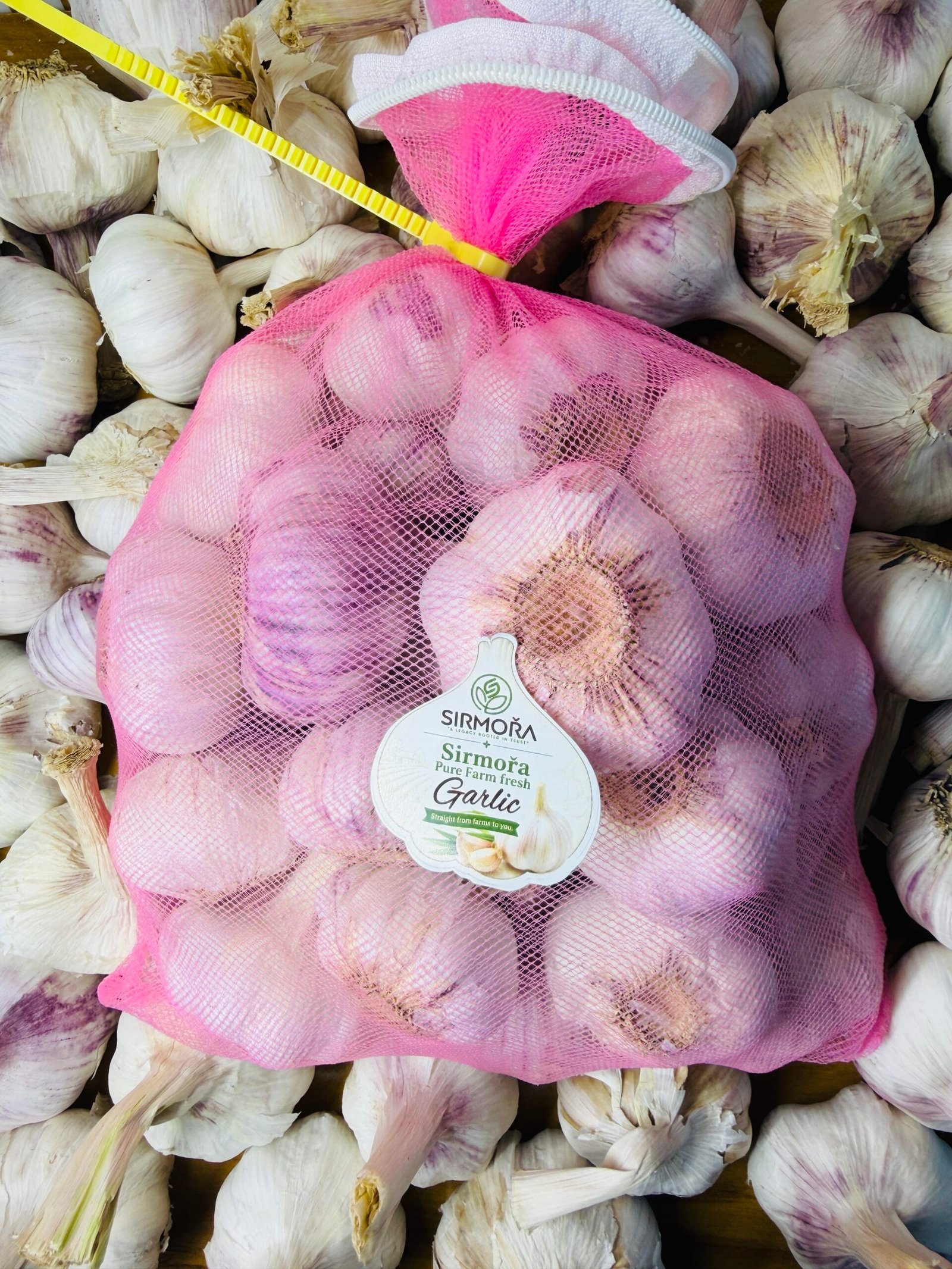 FARM FRESH GARLIC